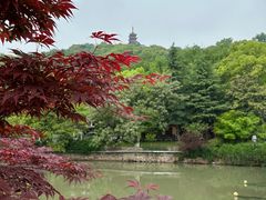 -狼山风景名胜区