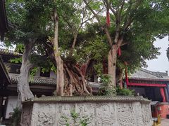 -黄龙溪古镇-古龙寺