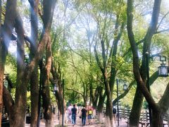 -白马涧龙池景区