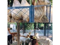 -长白岛森林公园