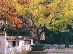 -百脉泉景区