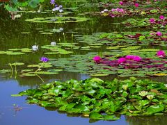 -国家植物园南园