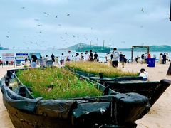 -海驴岛(荣成市)