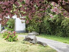 -洛阳市隋唐城遗址植物园