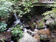 -藏龙百瀑风景区