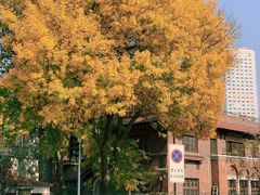 -天津五大道文化旅游区