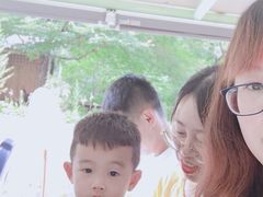 -本溪汤沟绿石谷森林公园