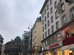 -斯蒂芬主教座堂(Stephansdom)