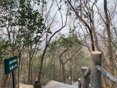 -紫金山山顶公园