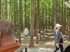 -日照海滨国家森林公园