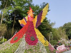 -深圳市中科院仙湖植物园