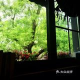 打卡宁静咖啡店