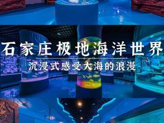 -石家庄极地海洋世界