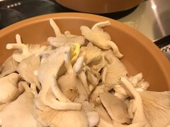 -龍歌自助小火锅(市南金茂湾店)