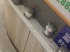 -半岛宠物医院24小时(白果林店)