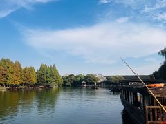 -乌镇西栅景区