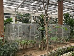 -南宫五洲植物乐园