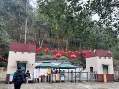 -大金鹰园
