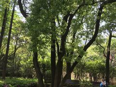 -徐家汇源景区-衡山公园