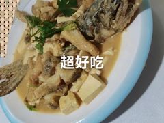 -煲来饱去冷水鱼