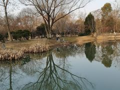 -梅花山(明孝陵内)