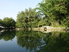 景点-云南勐巴娜西珍奇园