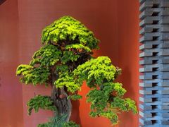 -阿伟海鲜楼·福建菜(延寿店)