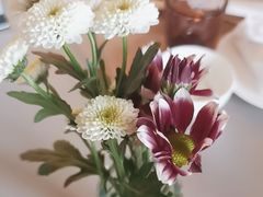 -静之湖湖畔餐厅