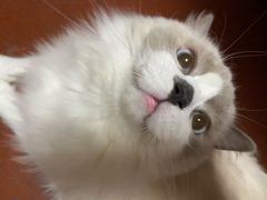 -美联众合24小时·皮肤科·外科·全科诊疗中心(华苑分院)