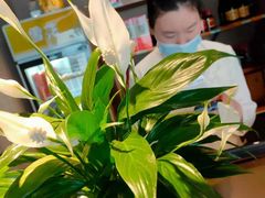 -老头儿油爆虾(胜利河美食街店)