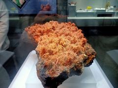 -湖南省地质博物馆