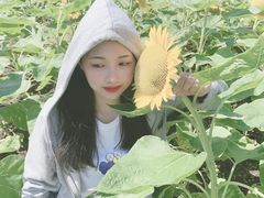 -瑶湖郊野森林公园