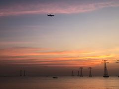 -宝安西湾红树林湿地公园