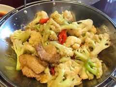 -胖大姐黄辣丁鱼庄(新津店)