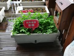 -东方明珠·可口可乐欢乐餐厅