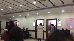 -复旦大学附属妇产科医院(杨浦院区)