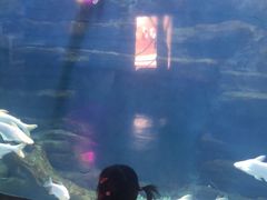 -无锡海洋馆