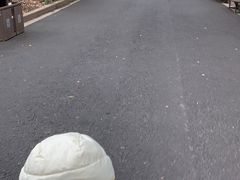-常州淹城野生动物世界