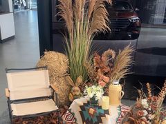 -奔驰利星行(北京花乡店)