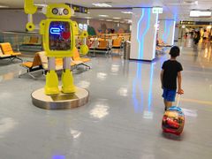 -升恒昌免税商店(台北松山机场店)