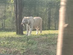 -秦皇岛野生动物园