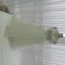 android_upload_pic-CHINCHIN LADY