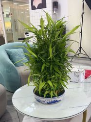 -米娜护肤造型
