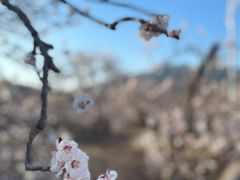 -荒度咖啡(北九水店)
