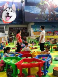 -爱丽丝奇幻乐园