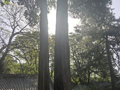 -潭柘寺景区