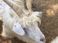 -云漫湖生态度假公园