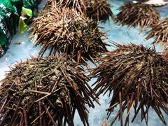 -港畔赶海蒸汽海鲜烧烤自助(仙螺岛店)