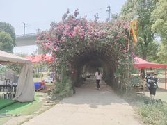 -秀丽东方