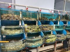 -正亮农家院·海鲜本地菜